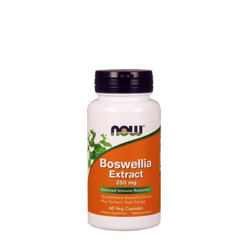 Boswellia Extract – Boswellia-Extrakt 250 mg Kapsel (60 veg.Kapseln)