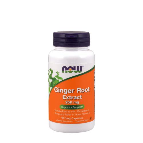 Now Foods Ginger Root Extract 250 mg (90 Kapseln)