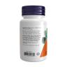 Now Foods Selenium 100 mcg (100 Tabletten)