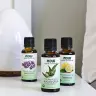 Now Foods Eucalyptus Radiata Öl (30 ml)