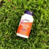 Now Foods Hyaluronsäure (Hyaluronic Acid) 100 mg Kapsel (120 veg.Kapseln)
