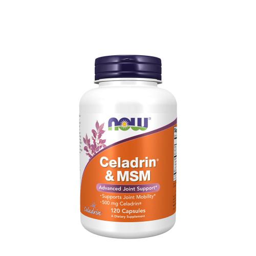 Celadrin & MSM Gelenkstärker 500 mg Kapsel (120 Kapseln)