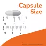 Now Foods Cat's Claw - Katzenkralle-Extrakt 500 mg Kapsel (250 veg.Kapseln)