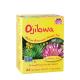 Now Foods Ojibwa Tea - Ojibwa Tee (24 Teebeutel)