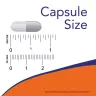 Now Foods MK-7 Vitamin K-2 300 mcg (60 veg.Kapseln)