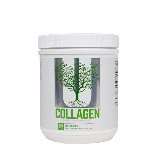 Universal Nutrition Collagen (300 g, Geschmacksneutral)