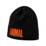 Universal Nutrition Animal Beanie (1 St., Schwarz/Orange)