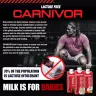 MuscleMeds Ready-to-Drink Beef Protein Isolate Shake (500 ml, Schokolade)