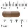 Swanson Kudzu Root (60 Kapseln)