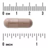 Swanson Saw Palmetto (100 Kapseln)