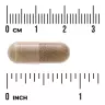 Swanson Ashwagandha Extract - Standardized 450 MG (60 Kapseln)