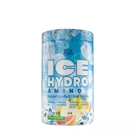   FA - Fitness Authority Ice Hydro Amino  (480 g, Fruchtmassage)