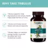 Himalaya Organic Tribulus (60 Kapseln)