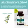Himalaya Organic Tribulus (60 Kapseln)