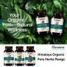 Himalaya Organic Bacopa (60 Kapseln)