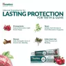 Himalaya Dental Cream Toothpaste (100 g, Granatapfel)