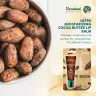 Himalaya Lip Balm  (10 g, Kakaobutter)