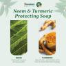 Himalaya Neem Turmeric Protecting Soap  (75 g)