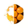 Nutrend Protein Shot (60 ml, Orange)