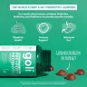 Goli Pre + Post + Probiotics Gummies (60 Gummibonbons)