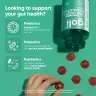 Goli Pre + Post + Probiotics Gummies (60 Gummibonbons)