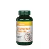 Vitaking Gymnema Sylvestre 400 mg (90 Kapseln)