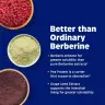 Enzymedica Berberine Phytosome® (60 Kapseln)