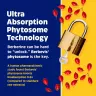 Enzymedica Berberine Phytosome® (60 Kapseln)