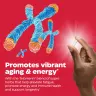 Enzymedica Telomere Plus® (30 Kapseln)