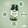 Natures Aid Green Tea 10,000mg (60 Tabletten)