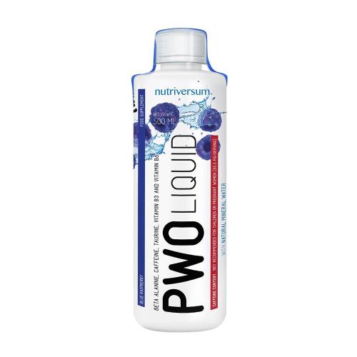 Nutriversum PWO Liquid - FLOW (500 ml, Blaue Himbeere)