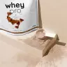 Nutriversum Whey Pro (1000 g, Schokolade)