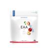Nutriversum EAA Sugar Free  (500 g, Apfel)