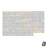 BioTechUSA Daily Pack (30 Packungen)