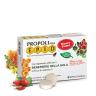 Natur Tanya S. EPID Propolis Pill with Alpine Herb, Zinc, Vitamin C (20 db)