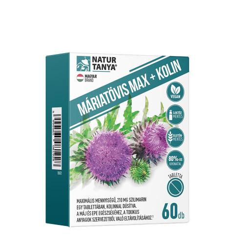 Natur Tanya Milk Thistle Max + Kolin (60 Tabletten)