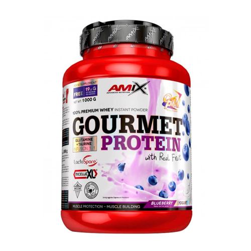 Amix Gourmet Protein (1000 g, Blueberry Yogurt)