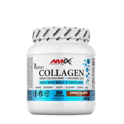 Amix Collagen Marine Peptan Drink (300 g, Schokolade)