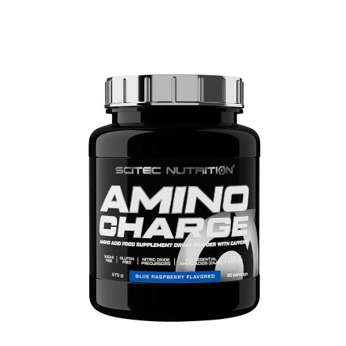 Scitec Nutrition Amino Charge (570 g, Blaue Himbeere)