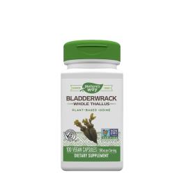 Nature's Way Bladderwrack  (100 Kapseln)