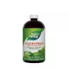 Nature's Way Chlorofresh® Liquid Chlorophyll (480 ml, Minze)