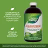 Nature's Way Chlorofresh® Liquid Chlorophyll (480 ml, Minze)