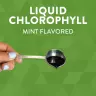 Nature's Way Chlorofresh® Liquid Chlorophyll (480 ml, Minze)