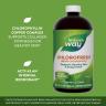 Nature's Way Chlorofresh® Liquid Chlorophyll (480 ml, Geschmacksneutral)