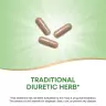 Nature's Way Dandelion Root (100 Kapseln)