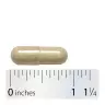 Nature's Way Fenugreek Seed (320 Kapseln)