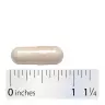 Nature's Way Fortify® Optima® 35 Billion Probiotic + Prebiotic (30 Kapseln)