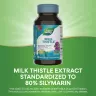 Nature's Way Milk Thistle (60 Kapseln)