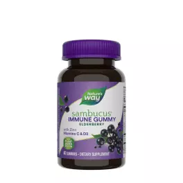 Nature's Way Sambucus Gummies (60 Gummibonbons)