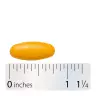 Nature's Way Turmeric Premium Extract (60 Tabletten)